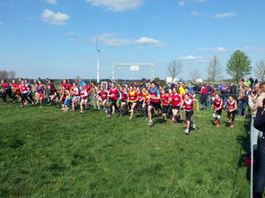 mk体育现在-体育新闻中心参与制定青少年体育内容发布规范，青少年体育刊物